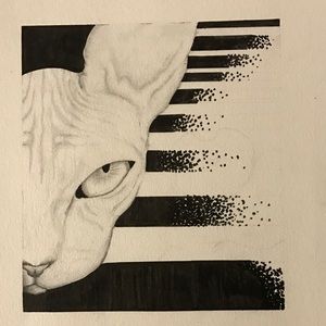 Meet your Posher, Chante'